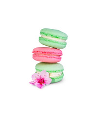 Macaroons isolated on a white background with spring flower