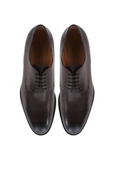 Brown men's shoes, view from above