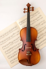 Fototapeta na wymiar Music notes and violin
