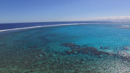 Fototapeta na wymiar The Beauty of the New Caledonian Reef