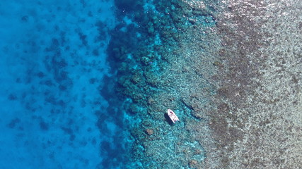 Escape on the Caledonian Great Reef