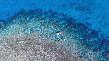 Escape on the Caledonian Great Reef