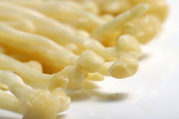 Close up shot of Enoki (Flammulina velutipes) is a mushroom that is well-known for its role in Japanese cuisine, where it is also known as Enokitake