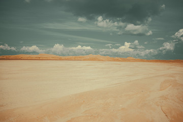 desert on a Sunny day