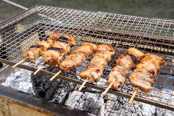 バーベキューで焼き鳥