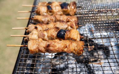 バーベキューで焼き鳥