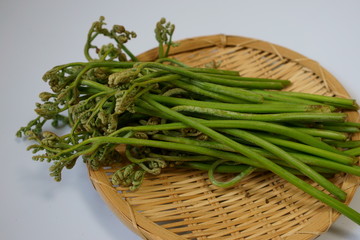 山採りの天然山菜、わらび