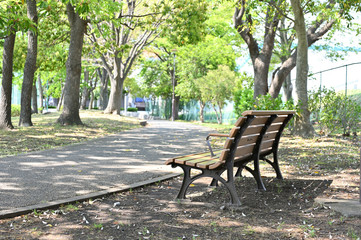 公園の木陰のベンチ