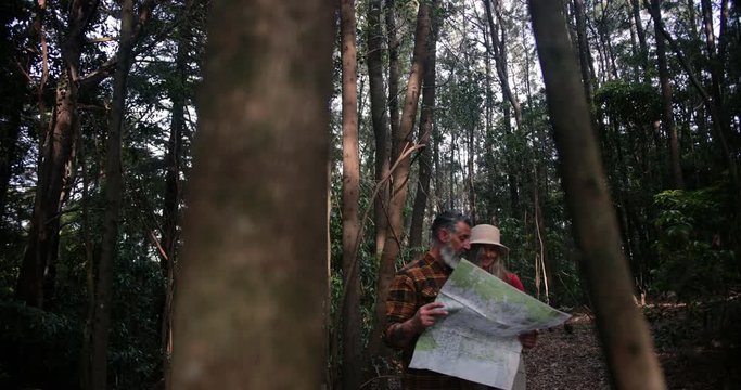 Senior caucasian couple checking map on pine tree forest