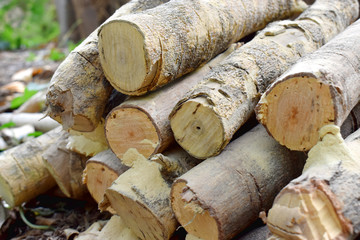 Pile of firewood, preparing of log for cooking in countryside 