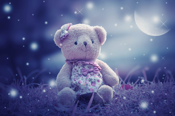 teddy bear on the night