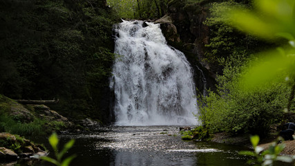 Obraz premium Young's River falls. A waterfall in the Pacific Northwest near Astoria, OR. This site was used in the filming of Teenage Mutant Ninja Turtles 3 and it was described in Lewis & Clark's Journal.