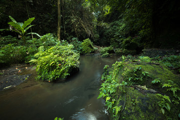 Tropical landscape. River in jungle. Soft focus. Slow shutter speed, motion photography. Bangli, Bali, Indonesia