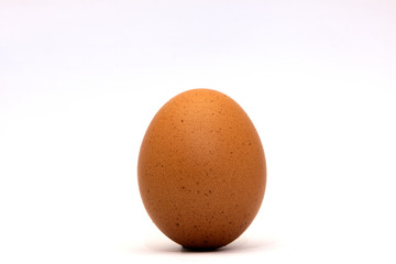 chicken egg isolated on white background.