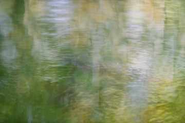 Blurred reflection in the pond of the botanical garden. City of Elche. Alicante province. Spain