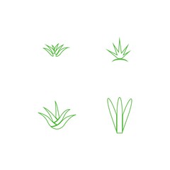 aloe vera logo