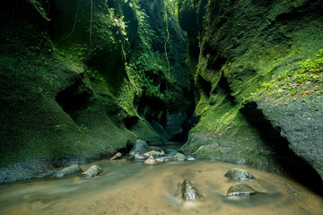 cave in the cave