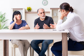 Financial advisor giving retirement advice to old couple