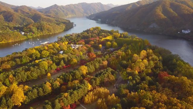 Aerial video of Nami island during Autumn season, South Korea. Aerial landscape of Nami island.