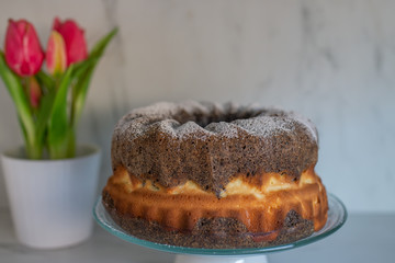 home made poppy seed sponge cake