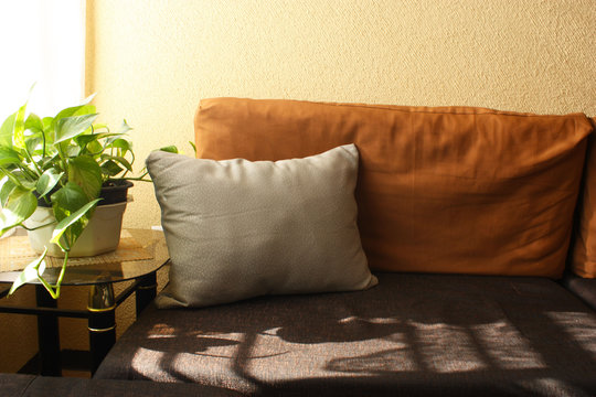 Sof&aacute; caf&eacute; con una maceta del lado izquierdo y un cojin gris con rayos de sol, sofa cafe, sillo, cafe