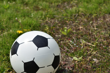 Fototapeta premium Image of Soccer ball rolling in the park