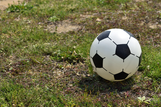 Image of Soccer ball rolling in the park