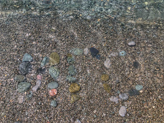 shells on the beach