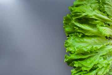 fresh green lettuce on the table