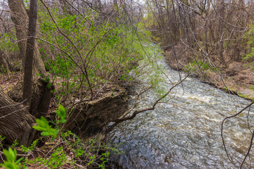 Limestone along a River