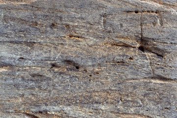 Old stone texture. Macro photo.
