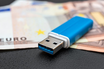 Flash Drive on the euro bills.