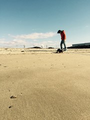 工場の見える砂浜を散歩
