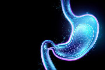 Hologram of the stomach, endoscopy procedure. Digestive tract and stomach disease concept. 3D rendering, 3D illustration.