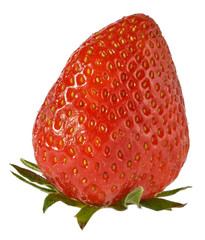 Red strawberries isolated on a white background. Clipping path.