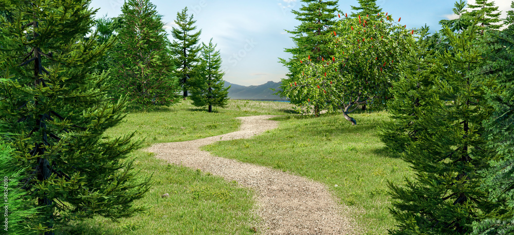 Poster path in the grass field with pine trees. 3d rendering.