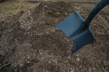 A person with a new gardening  agriculture Hobbie due to the Corona Virus Quarantine 