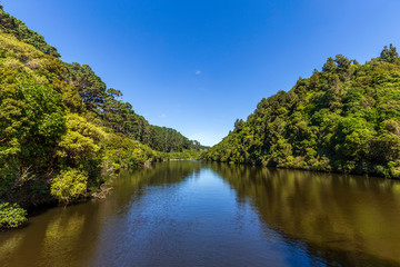Fototapeta na wymiar Lower dam at Zealandia in New Zealand