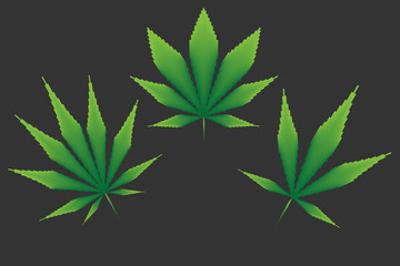 Icons of cannabis leaf from rectangles. Medical marijuana. Simple form, for graphic design of logo, emblem, sign, badge, label, isolated on dark background. Sativa, Indica, Ruderalis