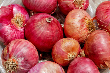 Many harvested unpeeled red onions in a pile
