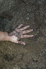 A person with a new gardening  agriculture Hobbie due to the Corona Virus Quarantine 