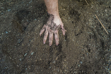 A person with a new gardening  agriculture Hobbie due to the Corona Virus Quarantine 