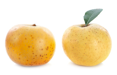 Golden Delicious in studio