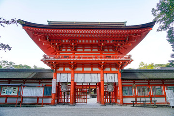 京都　下鴨神社