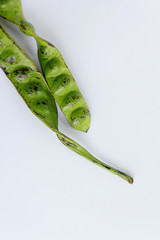 Petai, Bitter Beans on wood table, Thai vegetable food, Parkia speciosa seeds