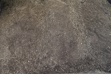 A person with a new gardening  agriculture Hobbie due to the Corona Virus Quarantine 