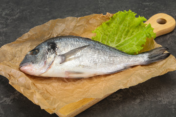 Raw Dorada fish  for cooking