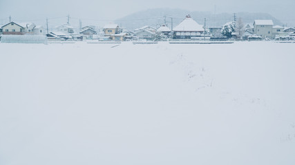 japan snow country 01