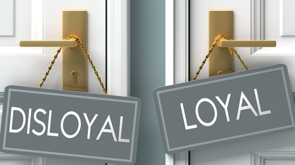 loyal or disloyal as a choice in life - pictured as words disloyal, loyal on doors to show that disloyal and loyal are different options to choose from, 3d illustration - obrazy, fototapety, plakaty