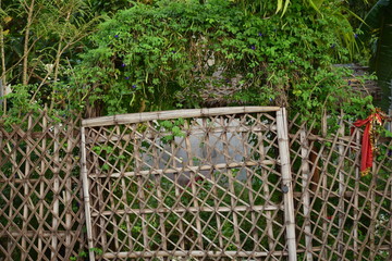 fence in the garden